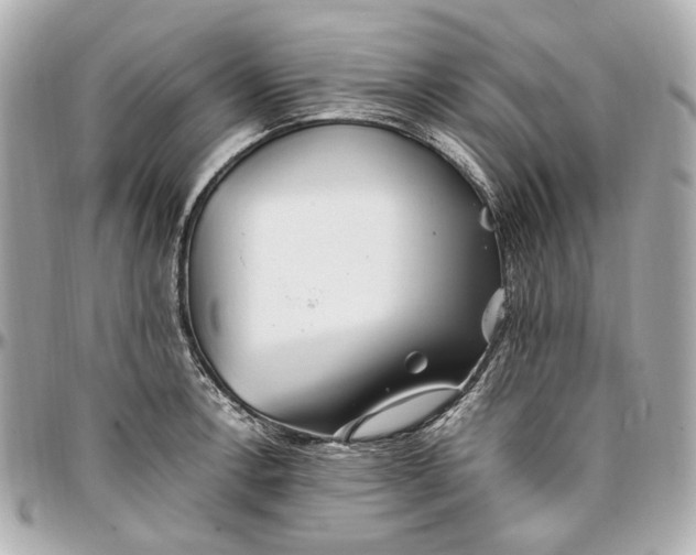 X0000097001138200802221515