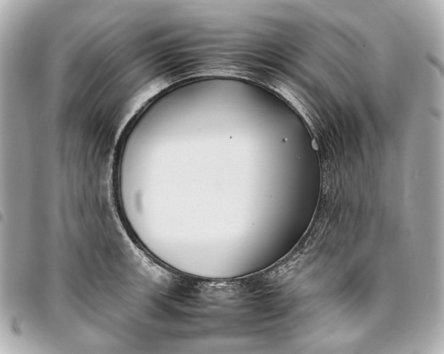 X0000097001139200802221515