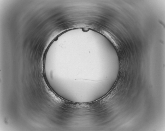 X0000097001140200802221515