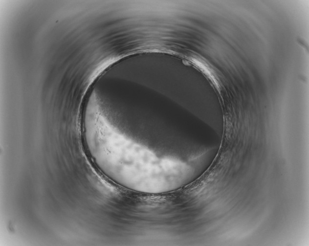 X0000097001141200802221515