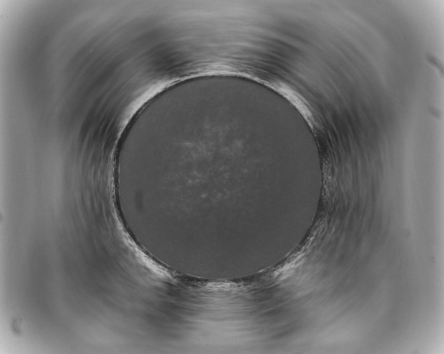 X0000097001142200802221515