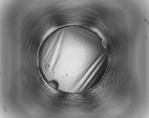 X0000097001143200802221515