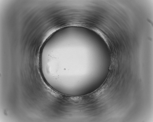 X0000097001147200802221515