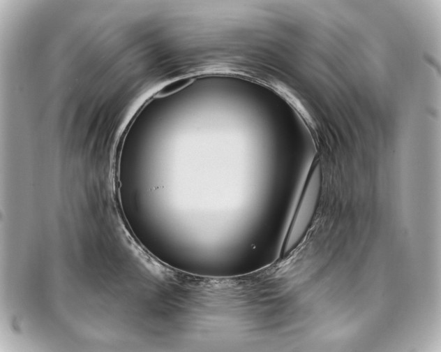 X0000097001148200802221515