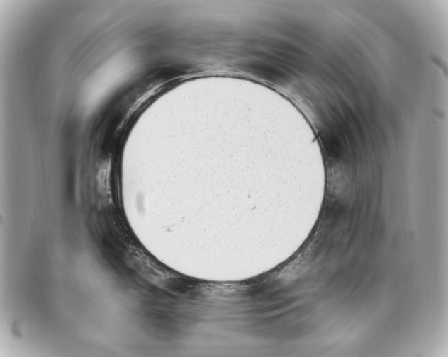 X0000097001150200802221515