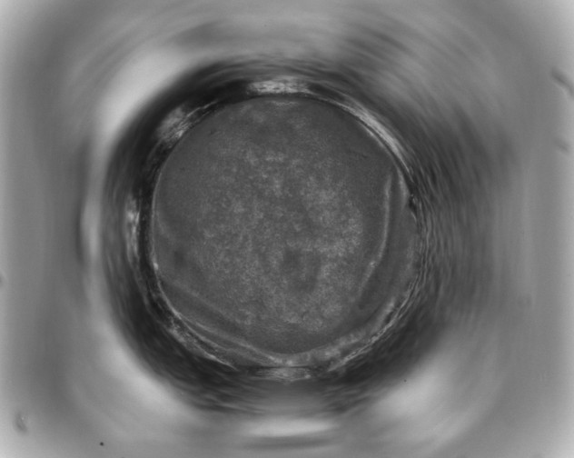 X0000097001151200802221515