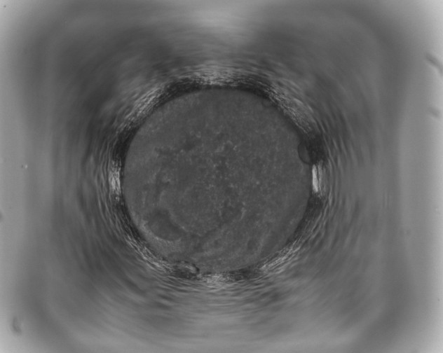 X0000097001155200802221514