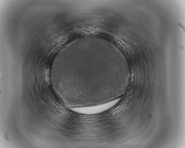 X0000097001156200802221514