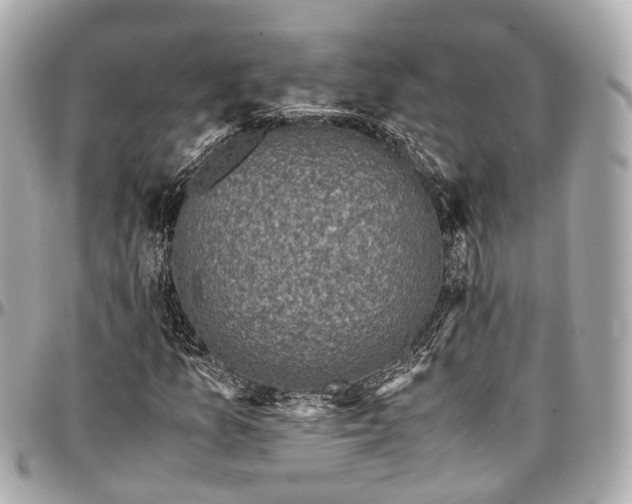 X0000097001157200802221514