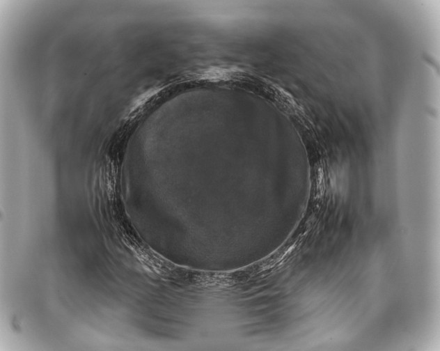 X0000097001158200802221514