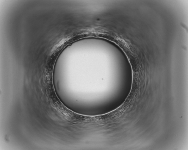 X0000097001159200802221514