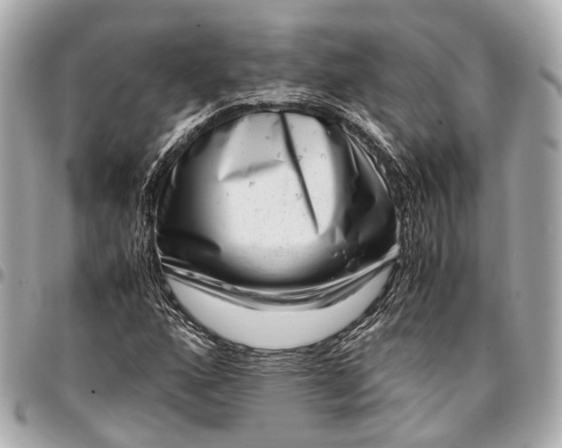 X0000097001160200802221514