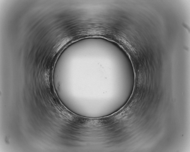 X0000097001162200802221514