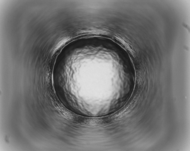 X0000097001163200802221514