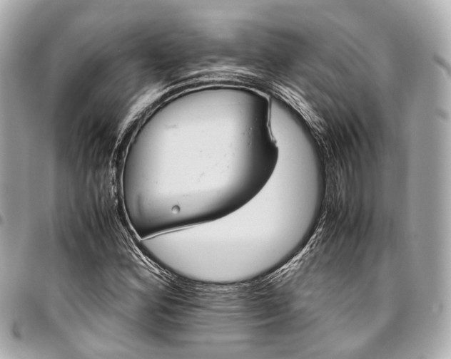 X0000097001164200802221514