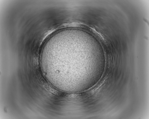 X0000097001166200802221514