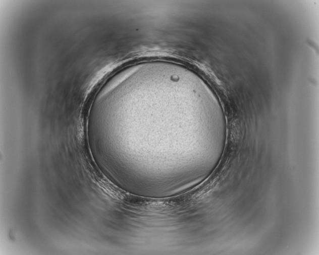 X0000097001167200802221514