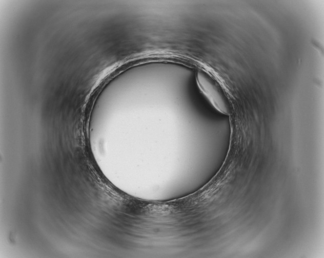 X0000097001168200802221514