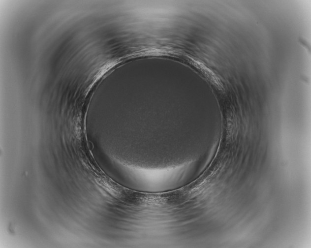 X0000097001170200802221514