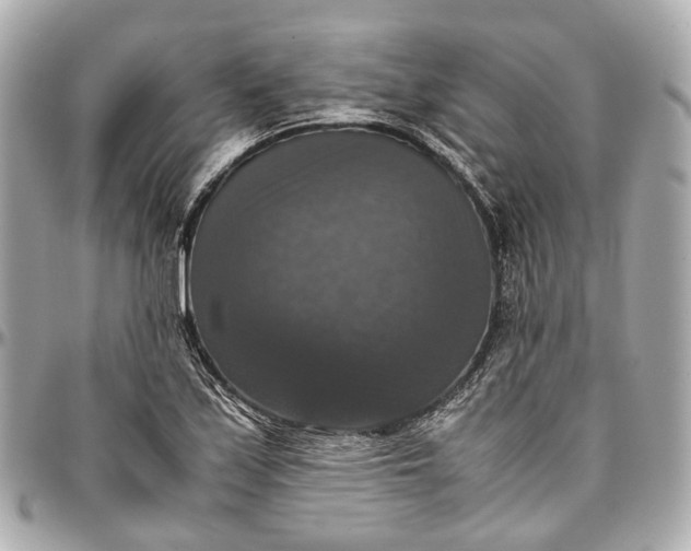 X0000097001171200802221514