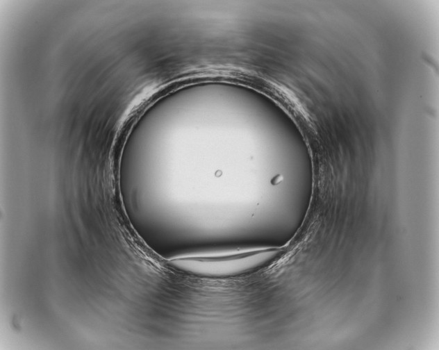 X0000097001172200802221514