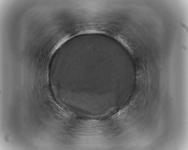 X0000097001173200802221514