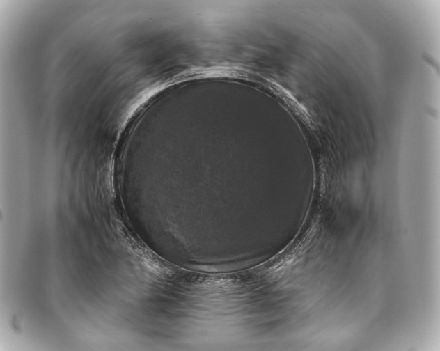 X0000097001174200802221514