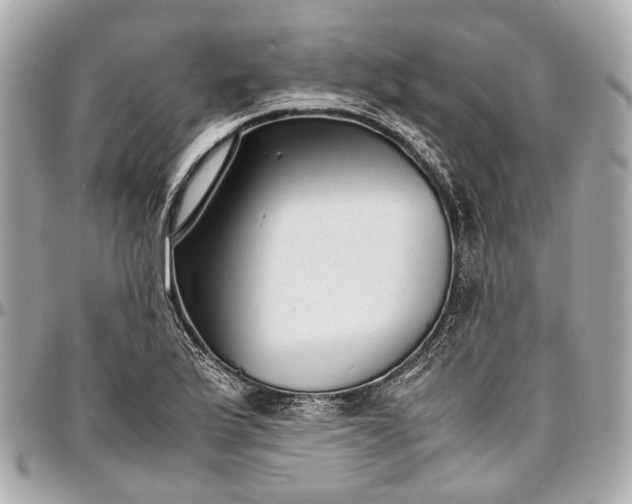 X0000097001175200802221514