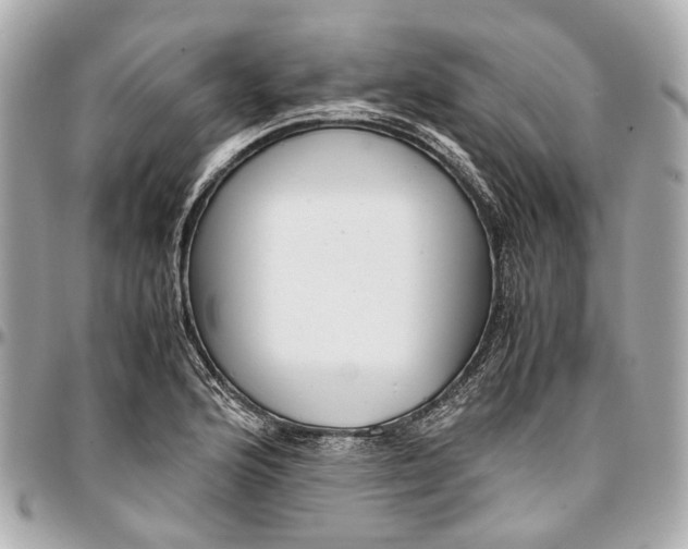 X0000097001176200802221514