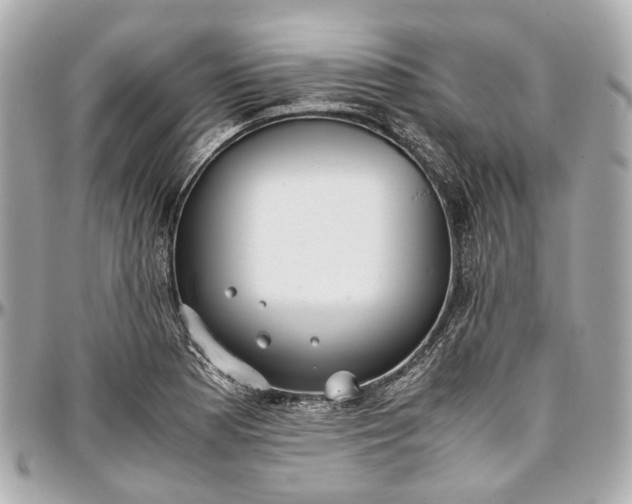 X0000097001177200802221514