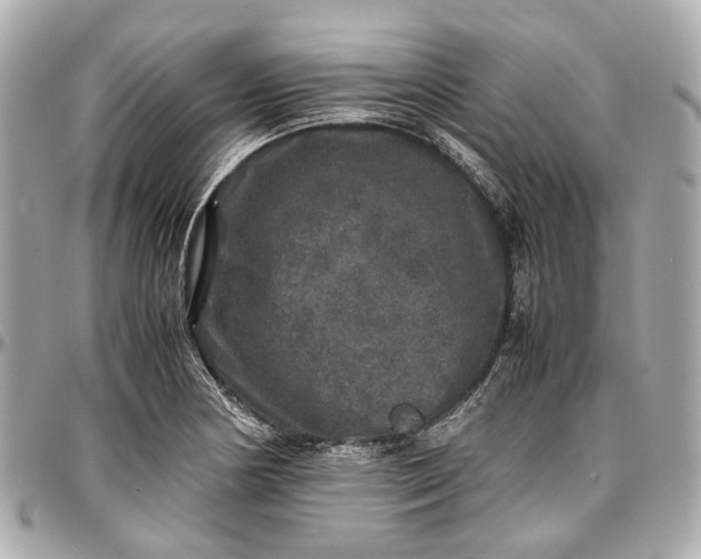 X0000097001178200802221514