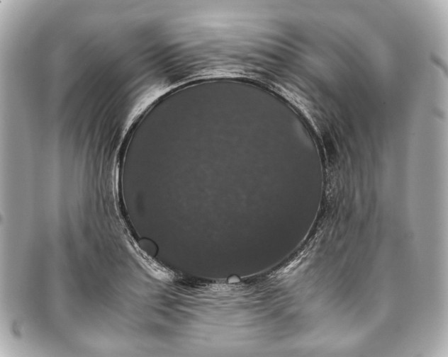 X0000097001179200802221514