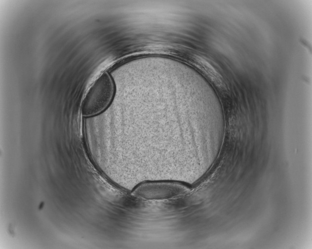 X0000097001180200802221514