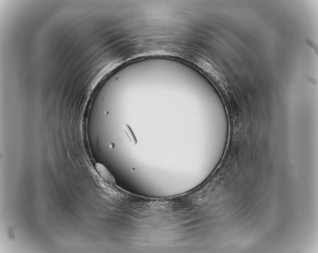 X0000097001181200802221514