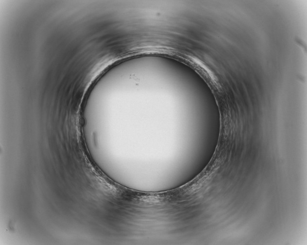 X0000097001182200802221514