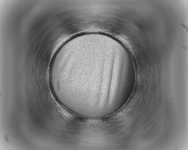 X0000097001183200802221514