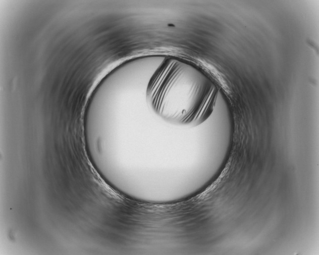 X0000097001184200802221514