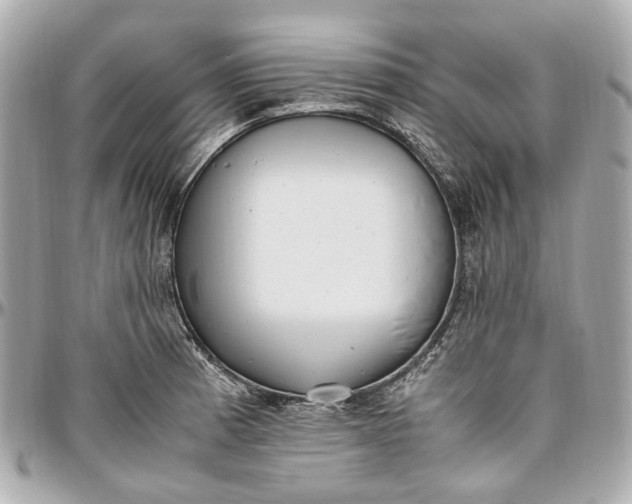 X0000097001185200802221514