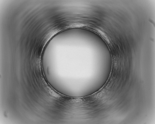 X0000097001186200802221514