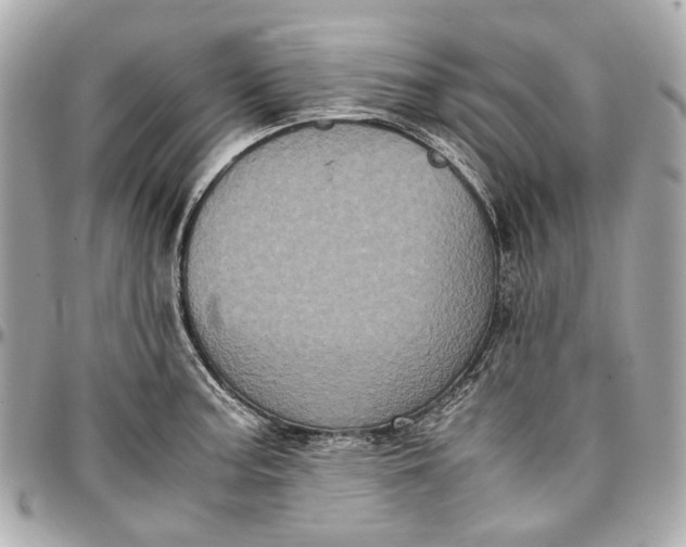 X0000097001187200802221514