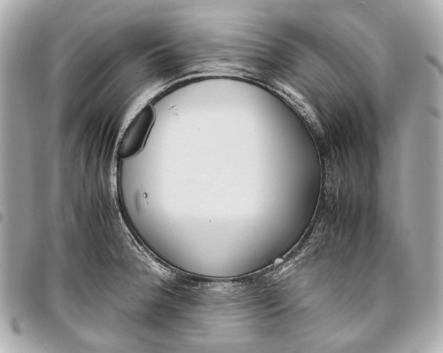 X0000097001188200802221514