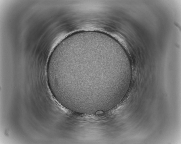 X0000097001191200802221514