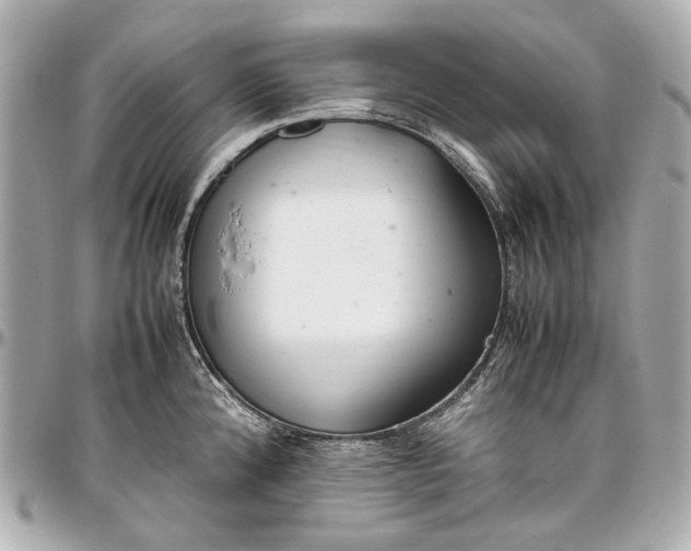 X0000097001192200802221514