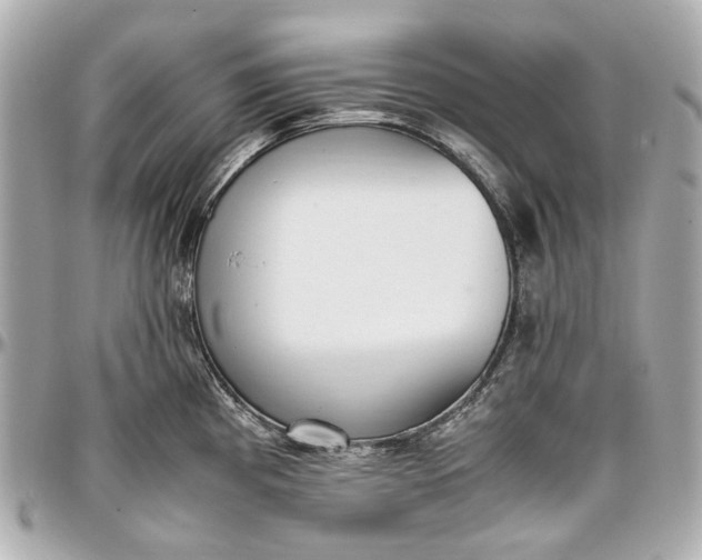 X0000097001193200802221514