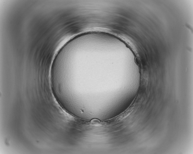 X0000097001199200802221514