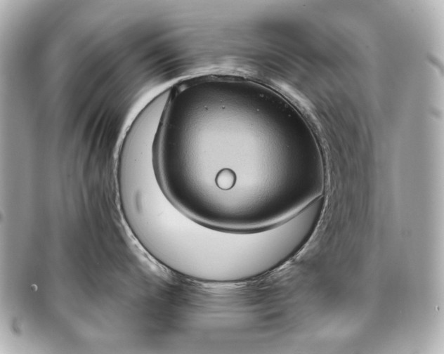 X0000097001200200802221514