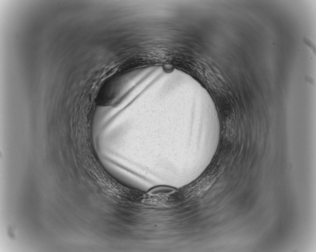 X0000097001201200802221513