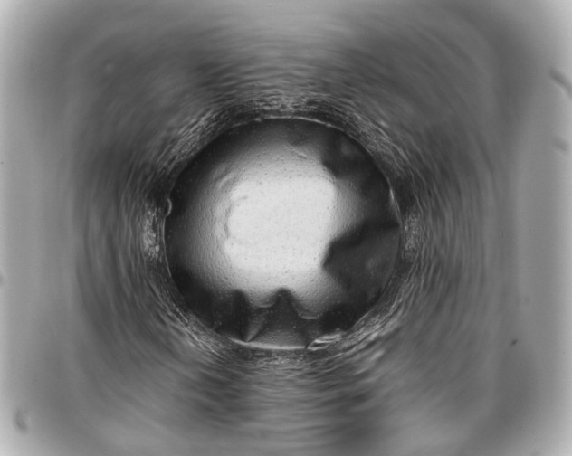 X0000097001202200802221513