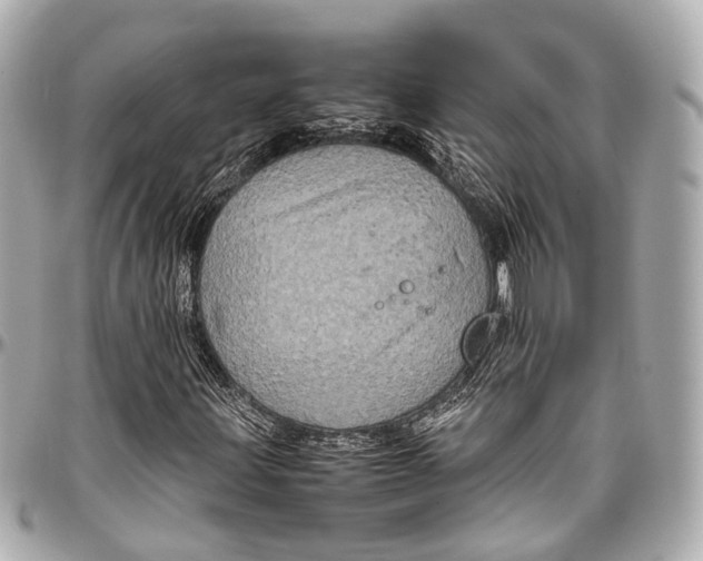 X0000097001203200802221513