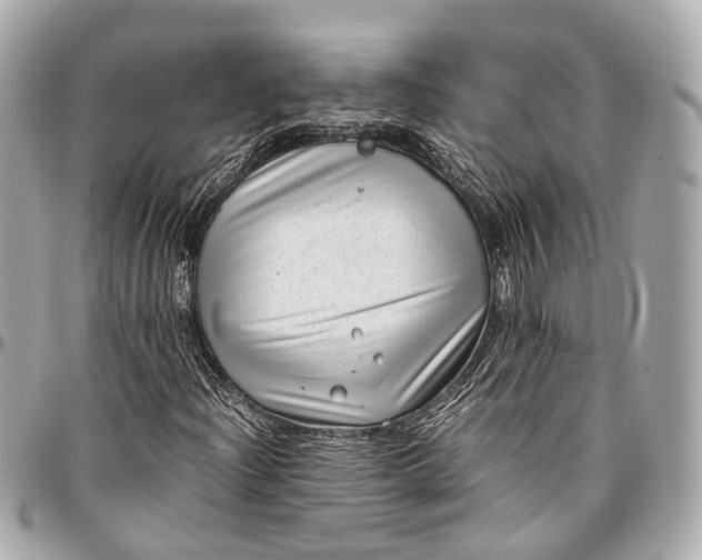 X0000097001204200802221513